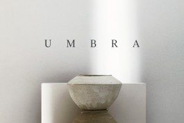 umbra cover 