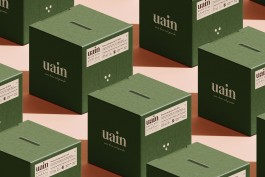 uain bag in box 