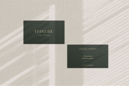 itinere business cards